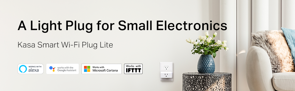 Link Smart Life Plug To Alexa Double Check Whether Kasa App Can